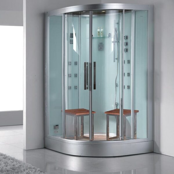 Platinum DZ962F8 2 Person Walk-In Steam Shower